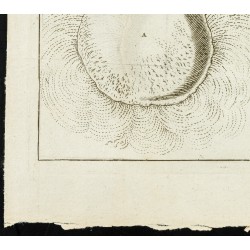 Gravure de 1777 - Magnétisme : Pierre d'aimant & limaille de fer - 4