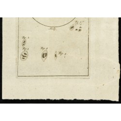 Gravure de 1777 - Taches solaires - 3