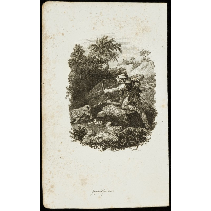 Gravure de 1834 - Gravure sur Les trois règnes de la nature - 1