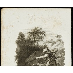 Gravure de 1834 - Gravure sur Les trois règnes de la nature - 2