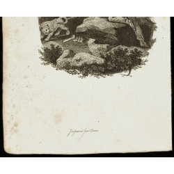 Gravure de 1834 - Gravure sur Les trois règnes de la nature - 3