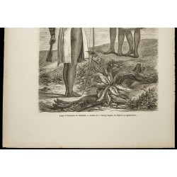 Gravure de 1860 - Indiennes du Colorado - 3