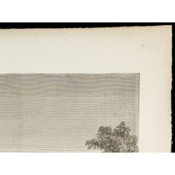 Gravure de 1860 - Camp touareg - 3