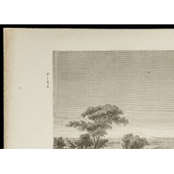 Gravure de 1860 - Vue du marché de Sokoto au Nigéria - 2