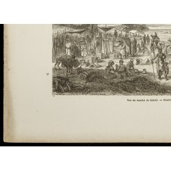 Gravure de 1860 - Vue du marché de Sokoto au Nigéria - 4