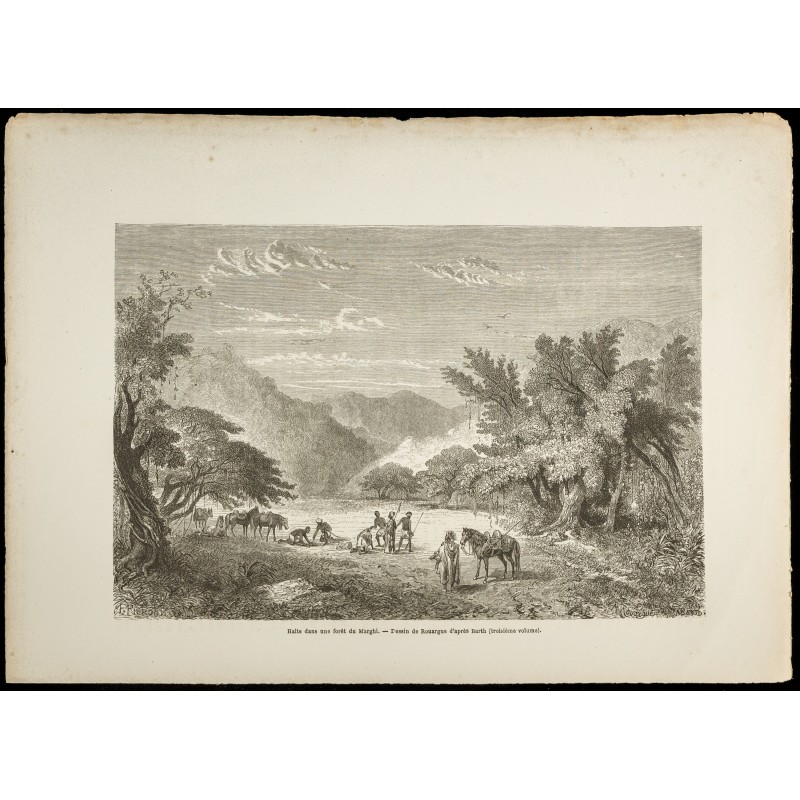 Gravure de 1860 - Forêt du Marghi - Nigeria Cameroun - 1