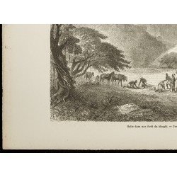 Gravure de 1860 - Forêt du Marghi - Nigeria Cameroun - 4