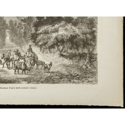 Gravure de 1860 - Vallée d'Auderaz - Congo - 5