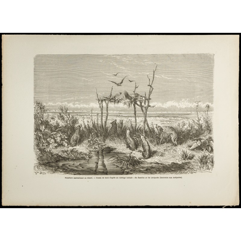 Gravure de 1860 - Sépulture australienne au désert - 1