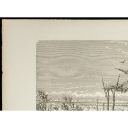 Gravure de 1860 - Sépulture australienne au désert - 2