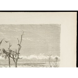 Gravure de 1860 - Sépulture australienne au désert - 3