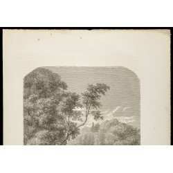 Gravure de 1860 - Sépultures australiennes dans les bois - 2