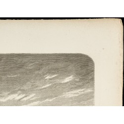 Gravure de 1860 - Vue des Bermudes - Port - 3