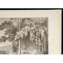 Gravure de 1860 - Cataracte de Weinachts - Guyane Britannique - 3