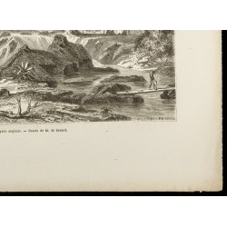 Gravure de 1860 - Cataracte de Weinachts - Guyane Britannique - 5