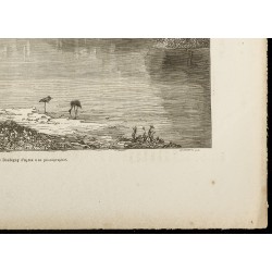 Gravure de 1860 - Le fleuve Jourdain - 5