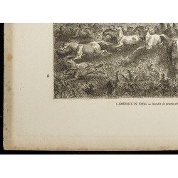 Gravure de 1860 - Incendie de prairie à Valnut-Creek - 4