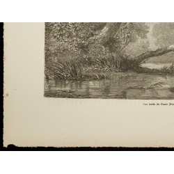 Gravure de 1860 - Les bords du Phase - Fleuve Rioni - 4