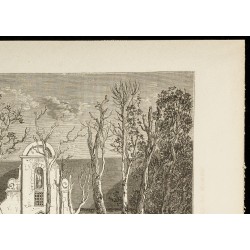 Gravure de 1860 - Vignoble de Grand-Constance - Cap de Bonne-Espérance - 3