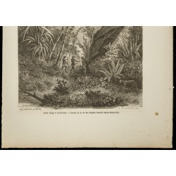 Gravure de 1860 - Forêt vierge à Car-Nicobar - Inde - 3
