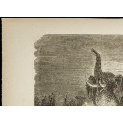 Gravure de 1860 - Chasseur surpris par un éléphant - 2