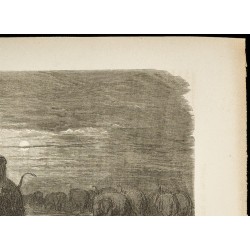 Gravure de 1860 - Chasseur surpris par un éléphant - 3