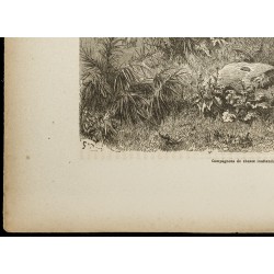 Gravure de 1860 - Scène de chasse en Afrique - Meute de lions - 4