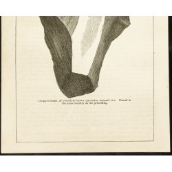 Gravure de 1873 - Gravure d'une pierre taillée - 3