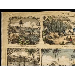 Gravure de 1853 - Les colonies de la France (Lithographie) - 2