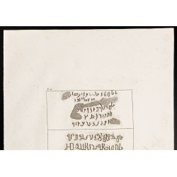 Gravure de 1844 - Inscriptions du Mont Sinaï - 2