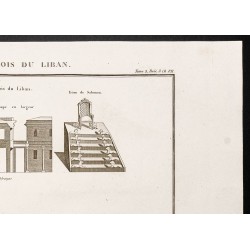 Gravure de 1844 - Palais du bois du Liban - 3