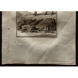 Gravure de 1799 - Le Canna - 3