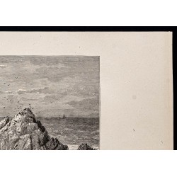 Gravure de 1880 - Seal Rock à San Francisco - 3