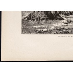 Gravure de 1880 - Seal Rock à San Francisco - 4