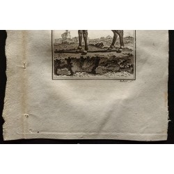 Gravure de 1799 - Le Nil-gaut mâle - 3