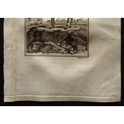 Gravure de 1799 - Le Nil-gaut femelle - 3