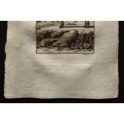 Gravure de 1799 - Le gnou ou niou - 3