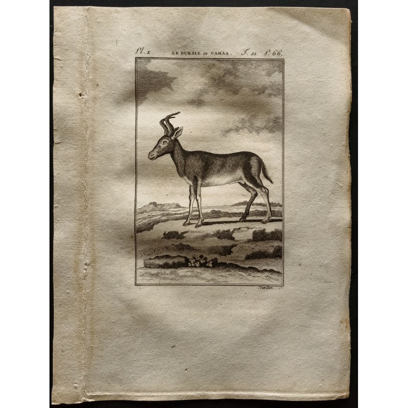 Gravure de 1799 - Le rubale - 1