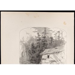 Gravure de 1880 - Reems Creek en Caroline du Nord - 2