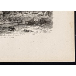 Gravure de 1880 - Seneca Rocks - 5