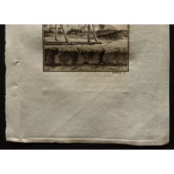 Gravure de 1799 - Le nanguer - 3
