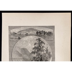 Gravure de 1880 - Delaware River - 2