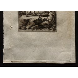 Gravure de 1799 - L'antilope femelle - 3