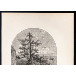 Gravure de 1880 - Lac Érié - 2