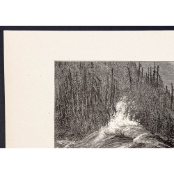 Gravure de 1880 - Chutes du Niagara - 2