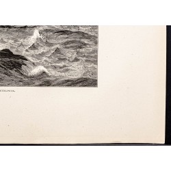 Gravure de 1880 - Chutes du Niagara - 5