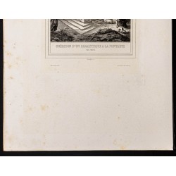 Gravure de 1853 - Guérison à la piscine de Béthesda - 4