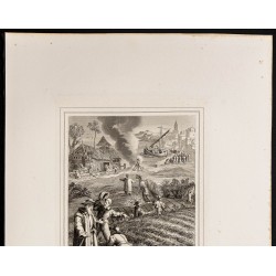 Gravure de 1853 - Le Bon Grain et l'Ivraie - 3