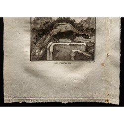 Gravure de 1799 - Le coase, le chinche - 3