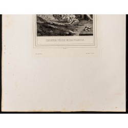 Gravure de 1853 - Seconde pêche miraculeuse - 4